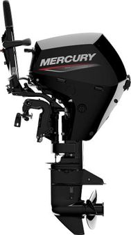 Mercury 20ELHPT EFI image