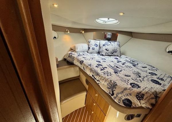 Bayliner 3488-COMMAND-BRIDGE-MOTORYACHT image