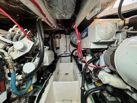 Bayliner 3488-COMMAND-BRIDGE-MOTORYACHT image