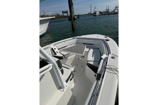 Blackfin 252 CC image