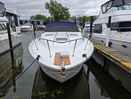 Sea Ray 390 Express Cruiser image