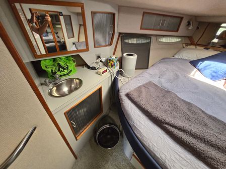 Sea Ray 390 Express Cruiser image