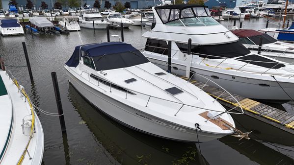 Sea Ray 390 Express Cruiser image