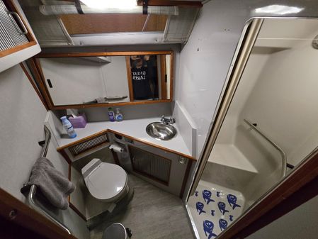 Sea Ray 390 Express Cruiser image