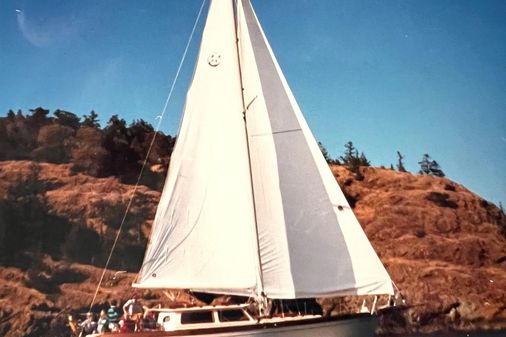 Ta Shing Tashiba Panda 40 Pilothouse image