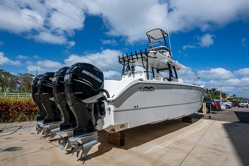 Invincible 40 Catamaran image