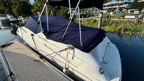 Sea Ray 240 Sundancer 