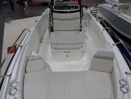 Boston Whaler 250 Dauntless image