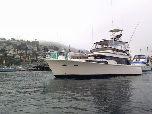 Mikelson 50 Sportfisher - main image