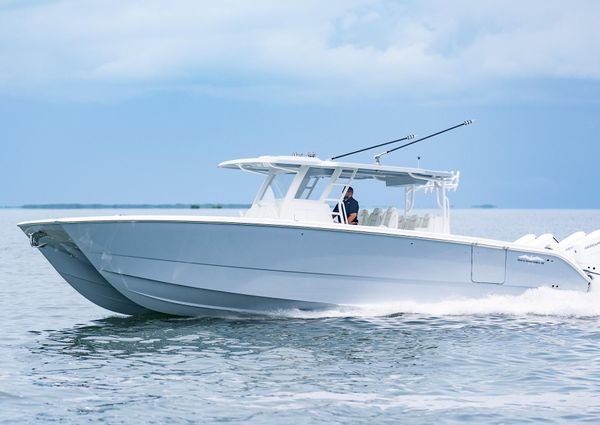 Invincible 40-CATAMARAN image