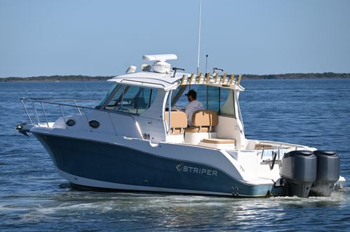 Striper 2901 Walkaround image