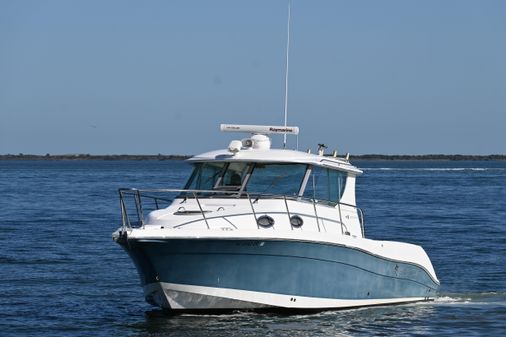 Striper 2901 Walkaround image