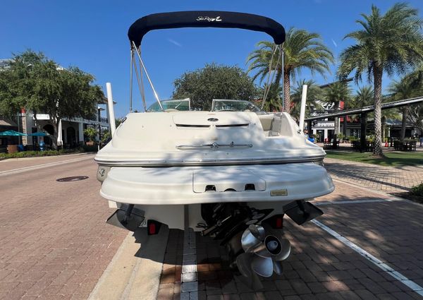 Sea-ray 240-SUNDECK image