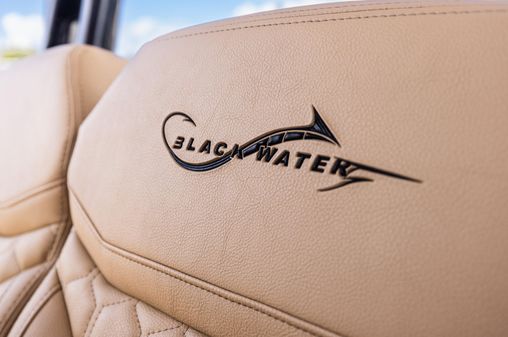 Blackwater 43 Sportfish image