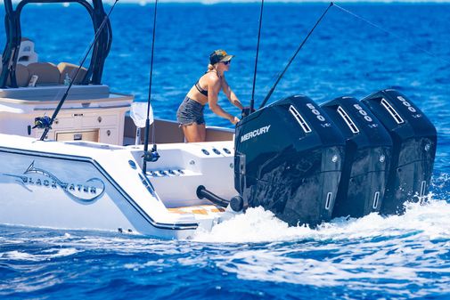 Blackwater 43 Sportfish image