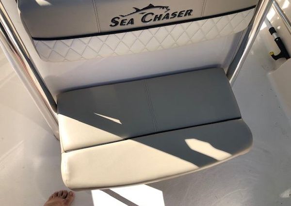 Sea Chaser 24 CC image