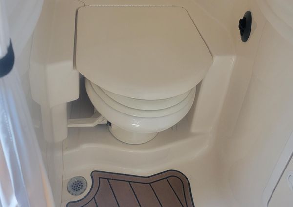 Sea Ray 340 Sundancer image