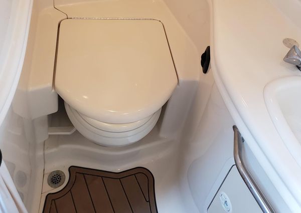 Sea Ray 340 Sundancer image