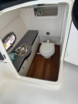 Chaparral 317 SSX image