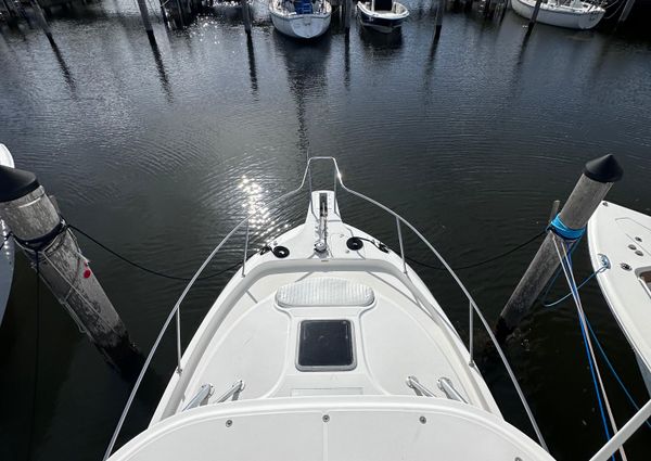 Boston-whaler 305-CONQUEST image