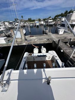 Boston-whaler 305-CONQUEST image