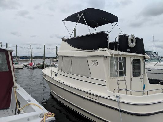 Camano 31 Trawler - main image
