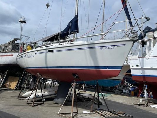 Catalina 320 - main image