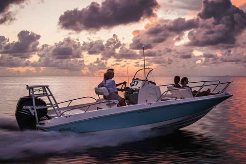 Boston Whaler 210 Dauntless image