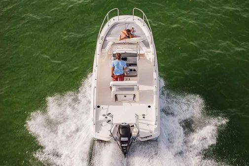 Boston Whaler 210 Dauntless image