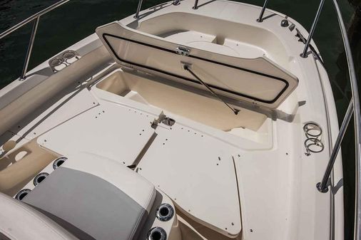 Boston Whaler 210 Dauntless image