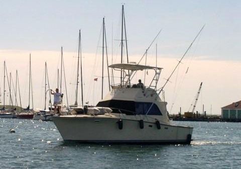 Pacemaker Sportfish