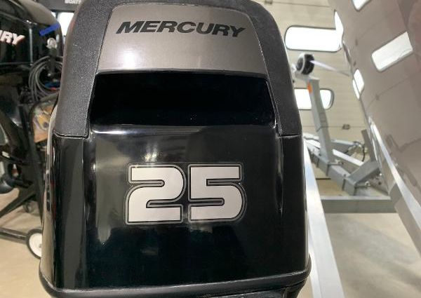 Mercury Marine 25 HP Engine image