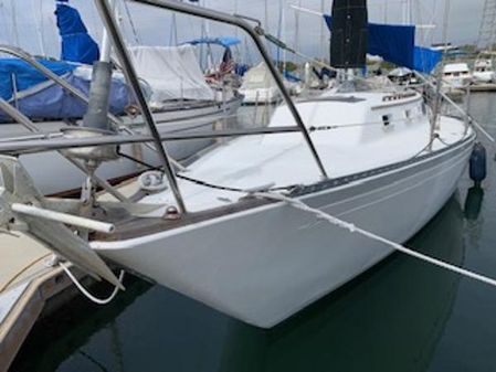 Islander 36 image