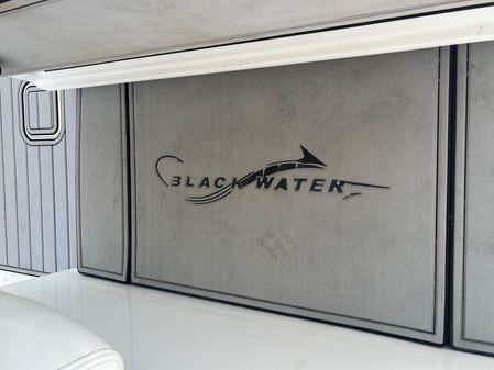 Blackwater 43 image