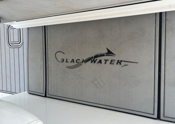 Blackwater 43 image