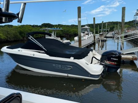 Robalo R227 image