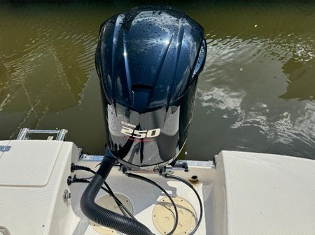 Robalo R227 image