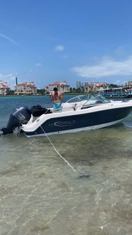 Robalo R227 Dual Console image