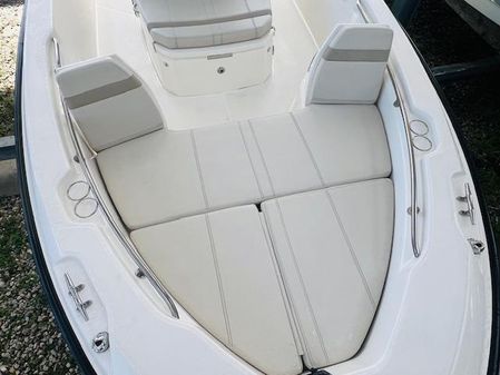 Boston Whaler 250 Dauntless image