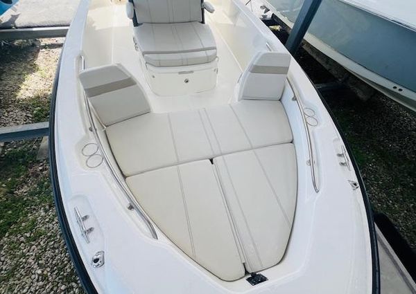 Boston Whaler 250 Dauntless image