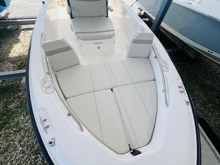 Boston Whaler 250 Dauntless image