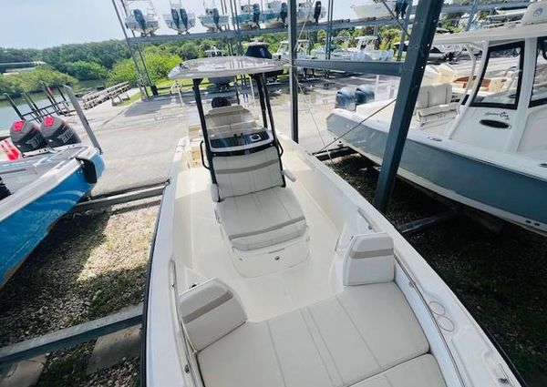 Boston Whaler 250 Dauntless image