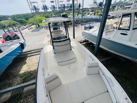 Boston Whaler 250 Dauntless image