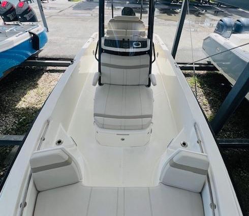 Boston Whaler 250 Dauntless image