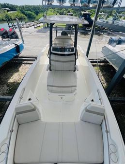 Boston Whaler 250 Dauntless image