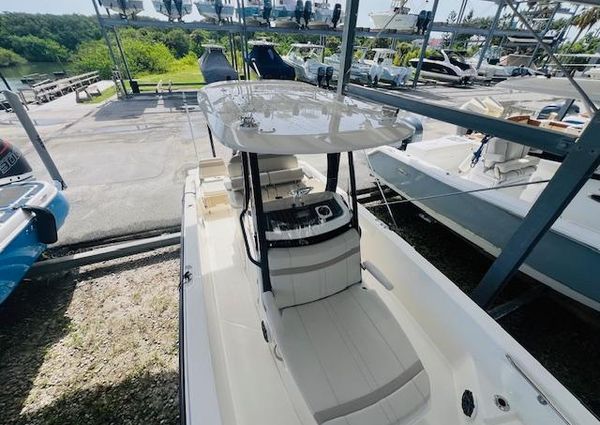 Boston Whaler 250 Dauntless image