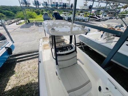 Boston Whaler 250 Dauntless image