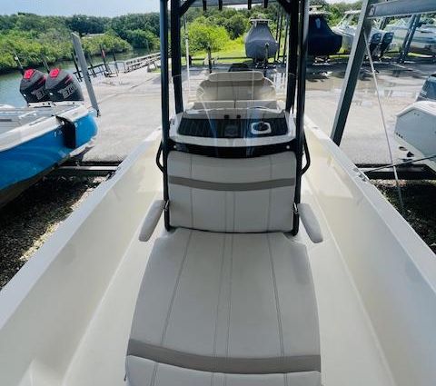 Boston Whaler 250 Dauntless image