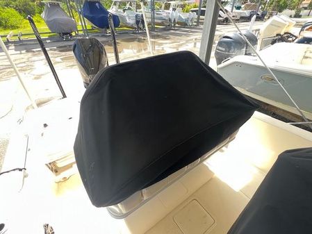 Boston Whaler 250 Dauntless image