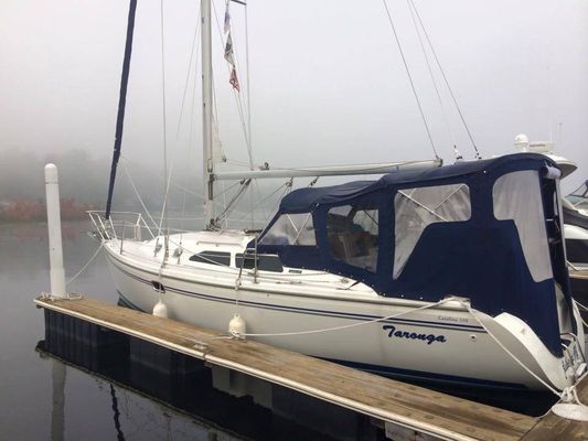 Catalina 310 - main image